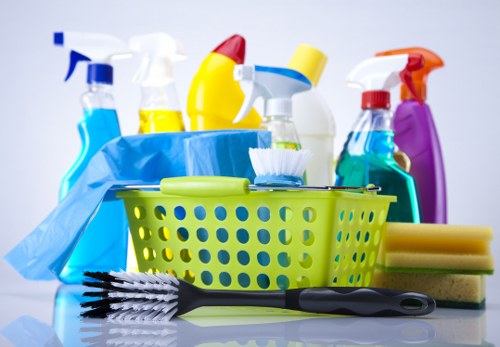 Cleaners Se1 service terms and conditions introduction