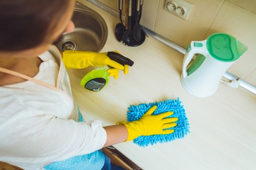 Professional cleaning company in SE1 serving homes and businesses