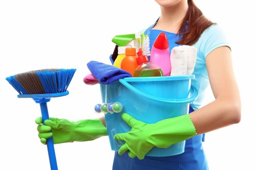 Detailed deep cleaning in SE1 for bathrooms and hard-to-reach areas