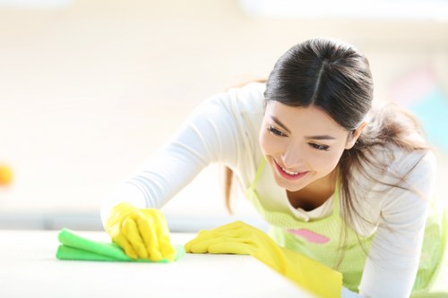 Browser settings and cookie controls for Cleaners SE1
