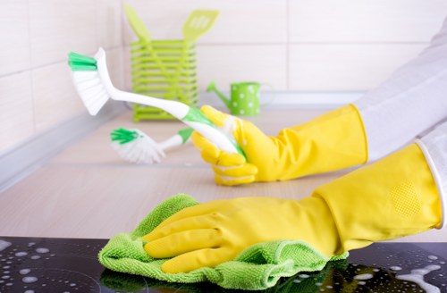 Regular house cleaning in SE1 with attention to detail