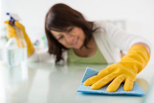 Professional cleaner in SE1 for busy offices