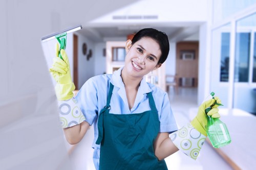 Domestic cleaner in SE1 providing home cleaning