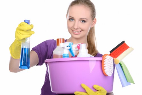Stain removal and carpet care service in SE1 for busy homes