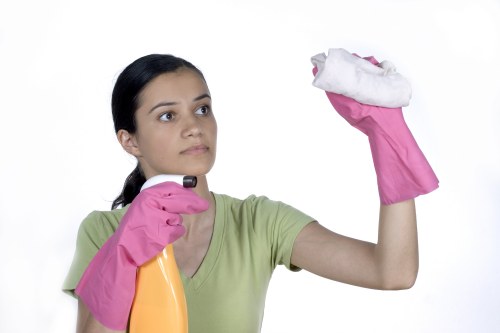Illustration showing screen-reader friendly cleaning services page