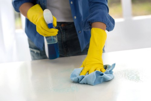 Professional upholstery care and sofa maintenance in SE1